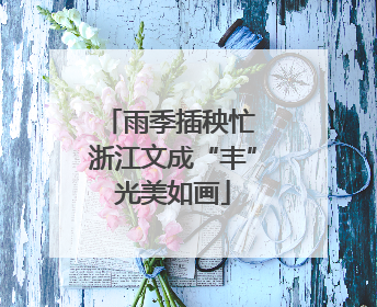 雨季插秧忙 浙江文成“丰”光美如画