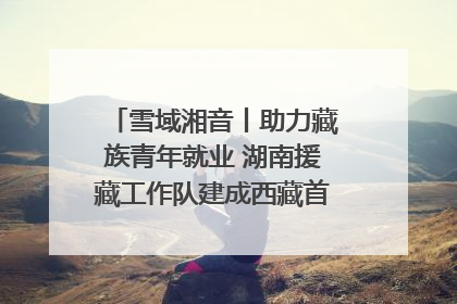 雪域湘音丨助力藏族青年就业 湖南援藏工作队建成西藏首个清洁能源装备园
