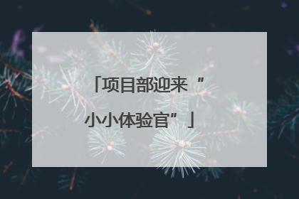 项目部迎来“小小体验官”
