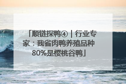 顺链探鸭④｜行业专家：我省肉鸭养殖品种80%是樱桃谷鸭