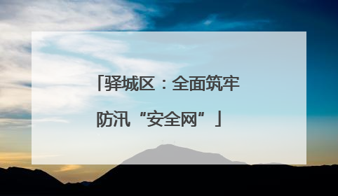 驿城区：全面筑牢防汛“安全网”