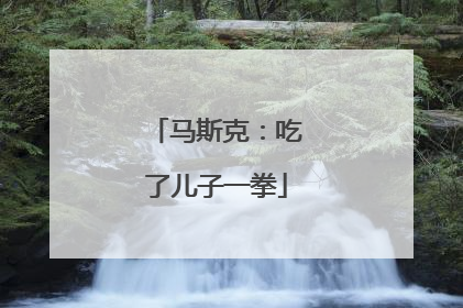 马斯克：吃了儿子一拳