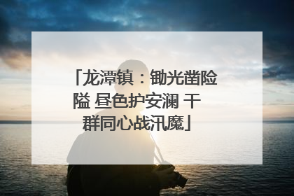 龙潭镇：锄光凿险隘 昼色护安澜 干群同心战汛魔