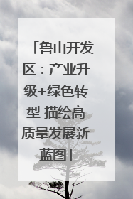 鲁山开发区：产业升级+绿色转型 描绘高质量发展新蓝图
