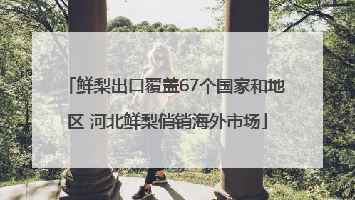 鲜梨出口覆盖67个国家和地区 河北鲜梨俏销海外市场