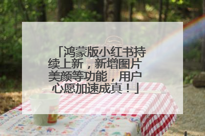 鸿蒙版小红书持续上新，新增图片美颜等功能，用户心愿加速成真！