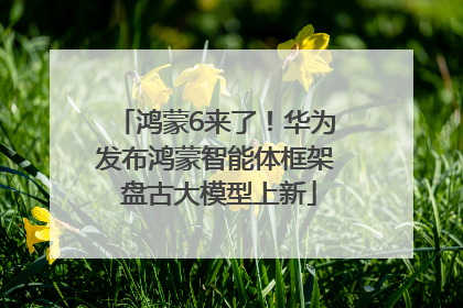鸿蒙6来了！华为发布鸿蒙智能体框架 盘古大模型上新