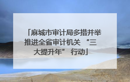 麻城市审计局多措并举推进全省审计机关 “三大提升年” 行动
