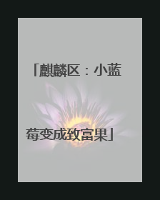 麒麟区：小蓝莓变成致富果