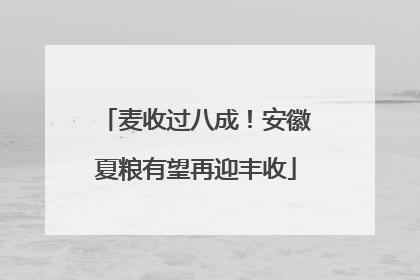 麦收过八成！安徽夏粮有望再迎丰收