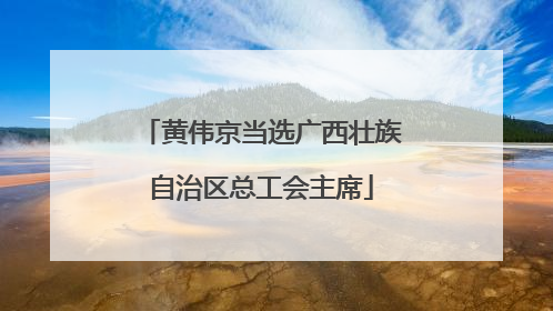 黄伟京当选广西壮族自治区总工会主席