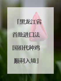 黑龙江省首批进口法国祖代种鸡顺利入境