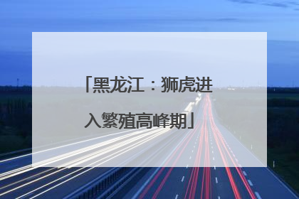 黑龙江：狮虎进入繁殖高峰期