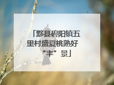 黟县碧阳镇五里村盛夏桃熟好“丰”景