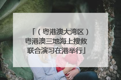 （粤港澳大湾区）粤港澳三地海上搜救联合演习在港举行