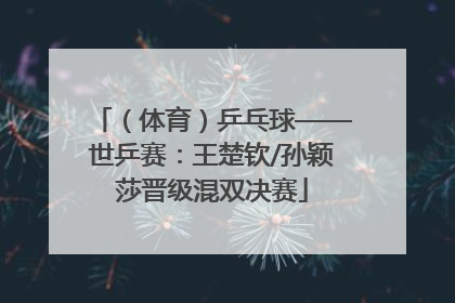 （体育）乒乓球——世乒赛：王楚钦/孙颖莎晋级混双决赛