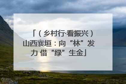 （乡村行·看振兴）山西襄垣：向“林”发力 借“绿”生金