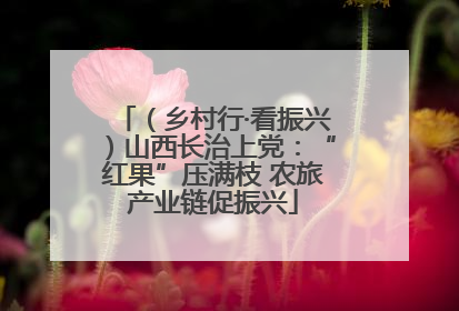 （乡村行·看振兴）山西长治上党：“红果”压满枝 农旅产业链促振兴