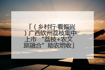 （乡村行·看振兴）广西钦州荔枝集中上市 “荔枝+农文旅融合”助农增收