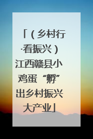 （乡村行·看振兴）江西赣县小鸡蛋“孵”出乡村振兴大产业