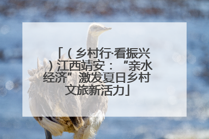 （乡村行·看振兴）江西靖安：“亲水经济”激发夏日乡村文旅新活力