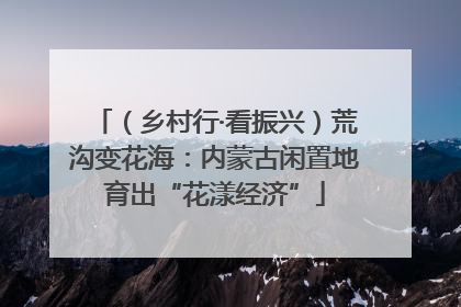（乡村行·看振兴）荒沟变花海：内蒙古闲置地育出“花漾经济”