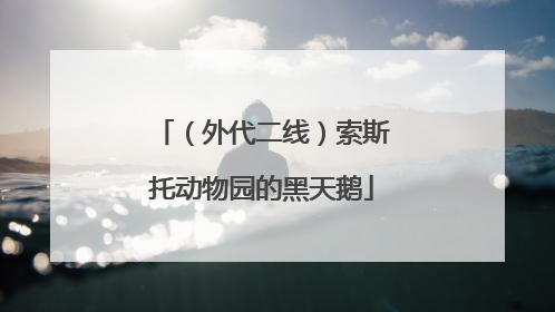 （外代二线）索斯托动物园的黑天鹅