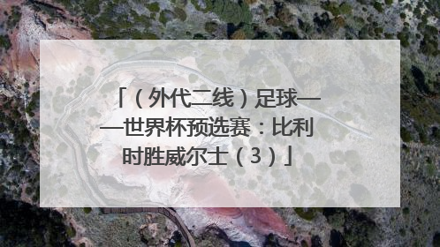 （外代二线）足球——世界杯预选赛：比利时胜威尔士（3）