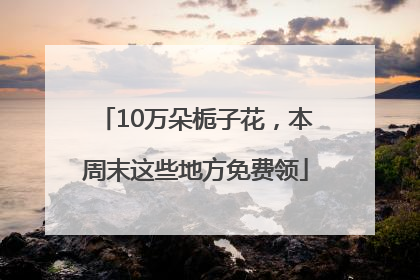 10万朵栀子花，本周末这些地方免费领