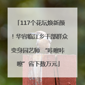 117个花坛焕新颜！华容临江乡干部群众变身园艺师 “咔嚓咔嚓”省下数万元