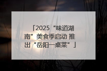 2025“味道湖南”美食季启动 推出“岳阳一桌菜”