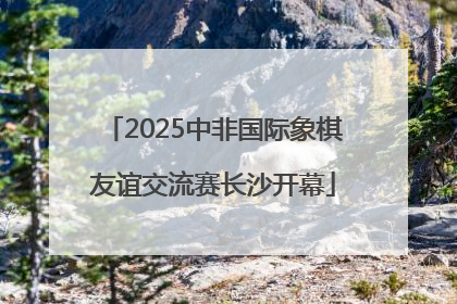 2025中非国际象棋友谊交流赛长沙开幕