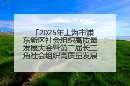 2025年上海市浦东新区社会组织高质量发展大会暨第二届长三角社会组织高质量发展峰会成功举办