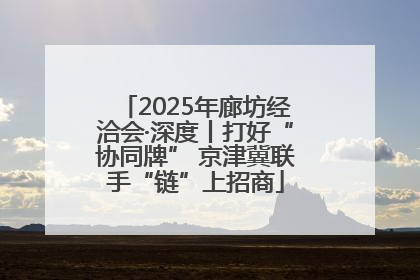 2025年廊坊经洽会·深度丨打好“协同牌” 京津冀联手“链”上招商