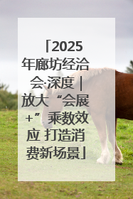 2025年廊坊经洽会·深度｜放大“会展+”乘数效应 打造消费新场景