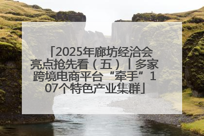 2025年廊坊经洽会亮点抢先看（五）丨多家跨境电商平台“牵手”107个特色产业集群