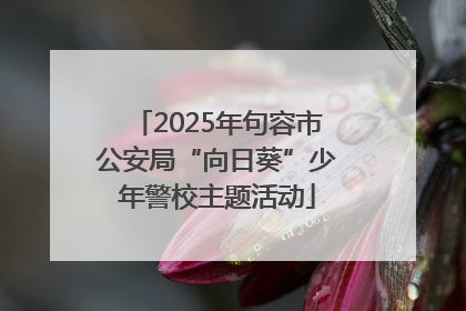 2025年句容市公安局“向日葵”少年警校主题活动