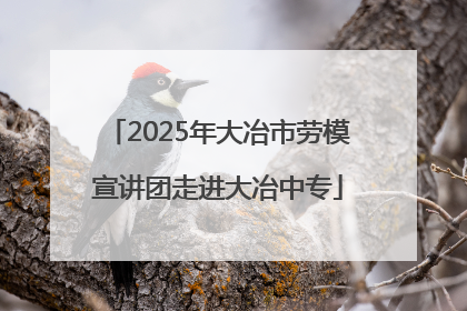 2025年大冶市劳模宣讲团走进大冶中专