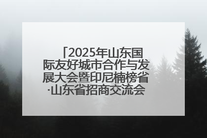 2025年山东国际友好城市合作与发展大会暨印尼楠榜省·山东省招商交流会在济南槐荫举行
