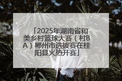 2025年湖南省和美乡村篮球大赛（村BA）郴州市选拔赛在桂阳县火热开赛