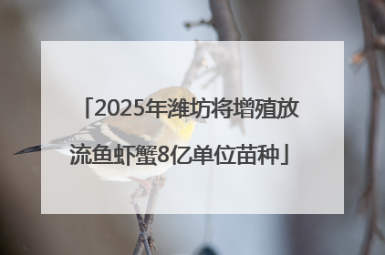 2025年潍坊将增殖放流鱼虾蟹8亿单位苗种