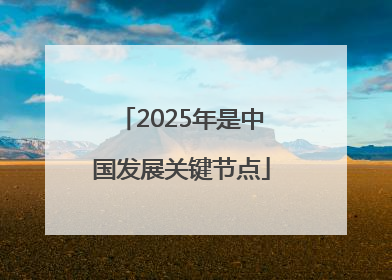 2025年是中国发展关键节点