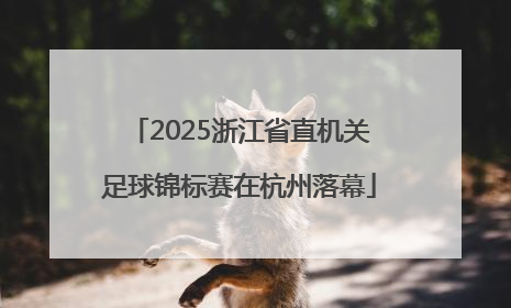 2025浙江省直机关足球锦标赛在杭州落幕
