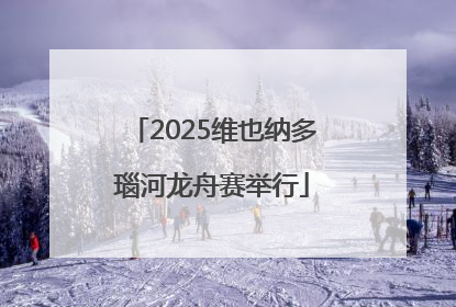 2025维也纳多瑙河龙舟赛举行