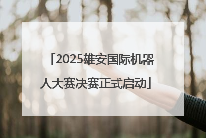 2025雄安国际机器人大赛决赛正式启动