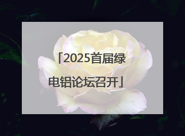 2025首届绿电铝论坛召开