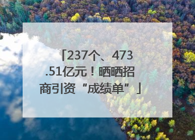 237个、473.51亿元！晒晒招商引资“成绩单”