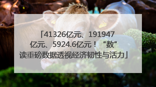 41326亿元、191947亿元、5924.6亿元！“数”读重磅数据透视经济韧性与活力