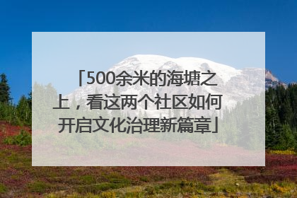 500余米的海塘之上，看这两个社区如何开启文化治理新篇章