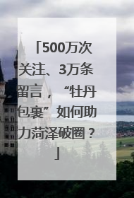 500万次关注、3万条留言，“牡丹包裹”如何助力菏泽破圈？